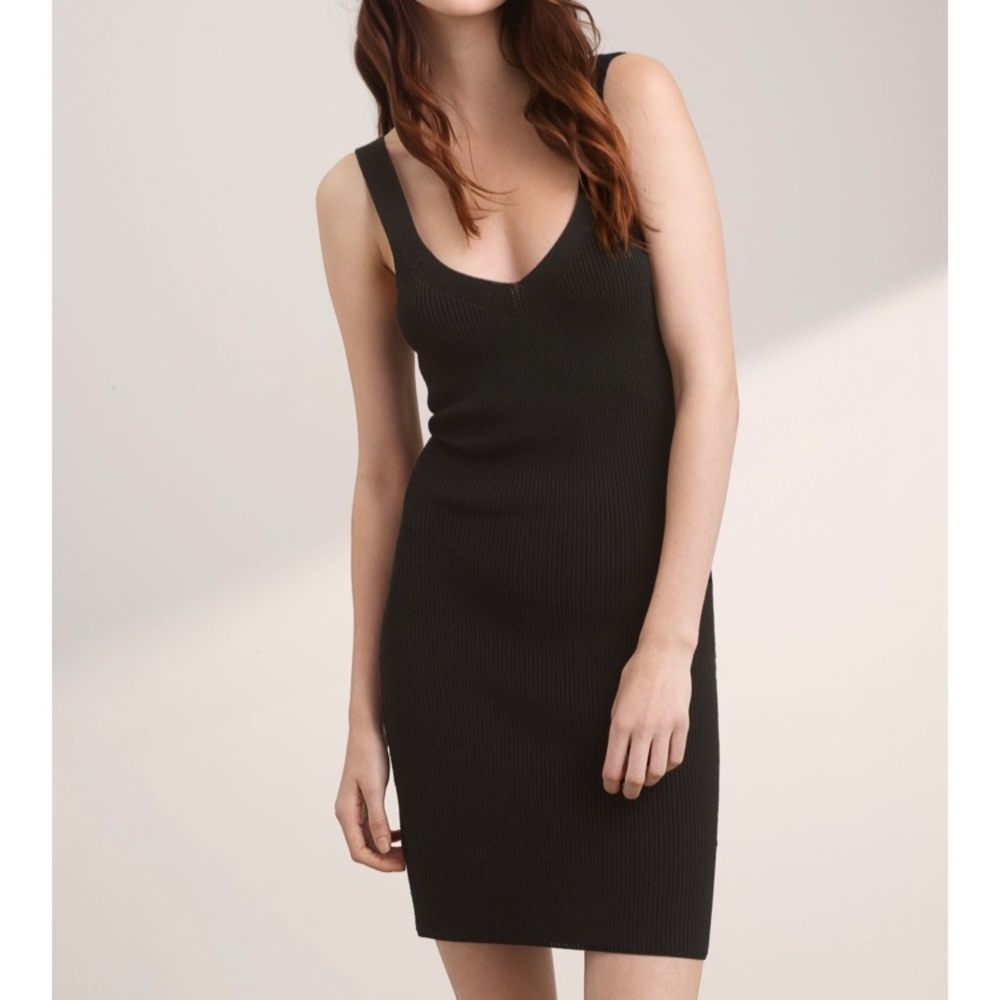 Aritzia Wilfred Flandin dress